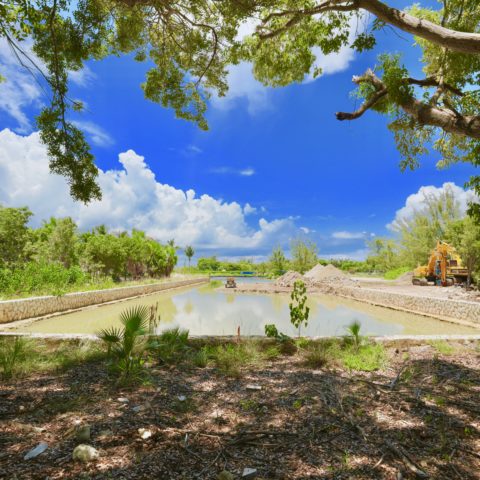 Sand Cay Condo Seawall